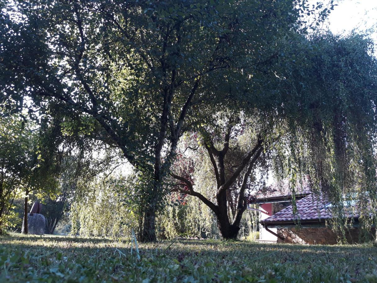 Hugoren Egoitza Zubialde Exterior photo